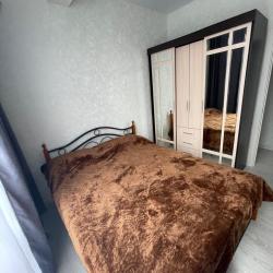 Фото Апартаменты Pluton Aparts в СНТ Агро