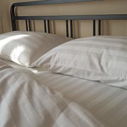 Фото Апартаменты на проспекте Чайковского 31