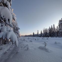 Фото Отель ЭЙВА