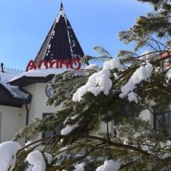Фото Отель Алино