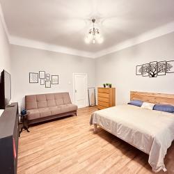 1-комнатные апартаменты стандарт