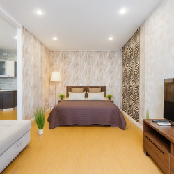 Апартаменты студия