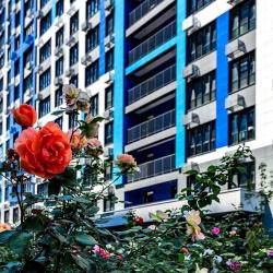 Фото Апартаменты на улице Матвейкина