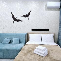 1-комнатные апартаменты студия RoomyRoom Apartaments 