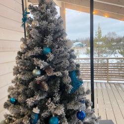 Фото Отель Обкомовская дача