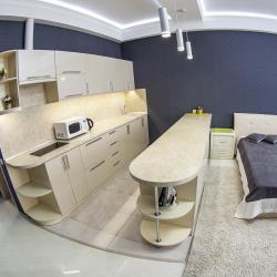 Фото Апартаменты на улице Чкалова 75 (49/1)