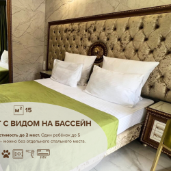 Номер стандарт с 1 двуспальной кроватью с видом на бассейн