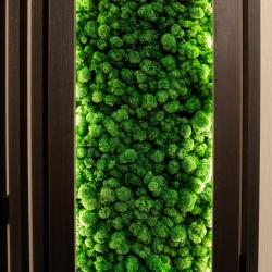 Фото Отель Villingston Residence (Виллингстон Резиденс)