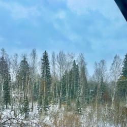 Фото Отель Хаски