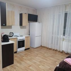 Фото Апартаменты на улице Новоселов 107 корпус 2