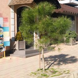 Фото Отель На Садовой