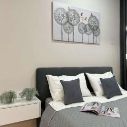 1-комнатные апартаменты студия №2