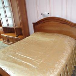 Фото Гостиница Всемирной Академии Самбо