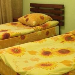 Фото Отель Новик