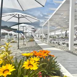 Фото Отель Ola resort (Ола резорт)