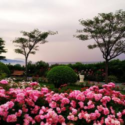 Фото Отель Palmira Palace Resort & SPA (Пальмира Палас Резорт и СПА)