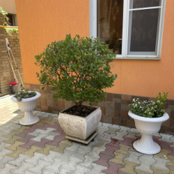 Фото Отель Надежда rooms (Румс)