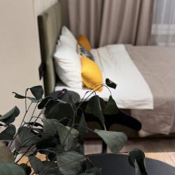 2-местные 1-комнатные апартаменты стандарт с 1 двуспальной кроватью