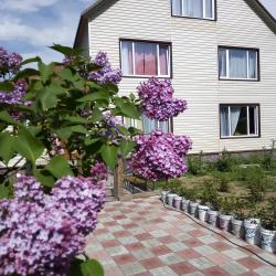 Фото Отель Камчатдар