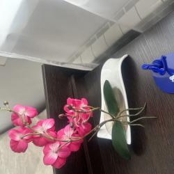 Номер стандарт эконом с 2 односпальными кроватями