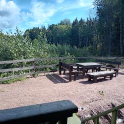 Фото Отель Домики Сканди