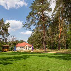 Фото Отель Сосновый бор