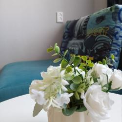 2-комнатные апартаменты улучшенные