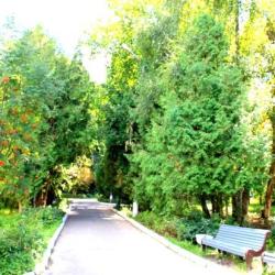 Фото Отель Бобачевская роща