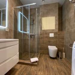 Номер люкс президентский