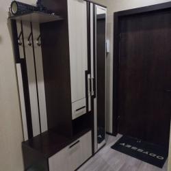 Фото Апартаменты на улице Склизкова 108 корпус 2