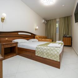 Номер стандарт с 1 двуспальной кроватью (цокольный этаж)