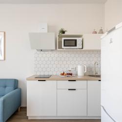 1-комнатные апартаменты улучшенные RoomyRoom у метро Ломоносовская