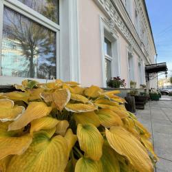 фото 88 Mila Guest House (Мила Гест Хаус)