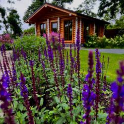 Фото Отель Рублино