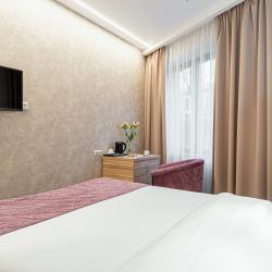 Номер стандарт Cabin с 1 двуспальной кроватью