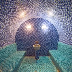 Фото Отель Orion (Орион)