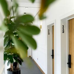 Фото Отель Revive Boutique Hotel (Ревив Бутик)