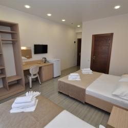 Номер стандарт Плюс без балкона с 1 двуспальной и 1 односпальной кроватью (Корпус Андорра)