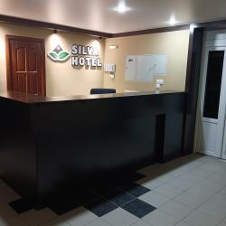 Фото Отель SILVA HOTEL (Сильва)