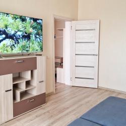 1-комнатные апартаменты стандарт с 1 односпальной кроватью и диваном №2