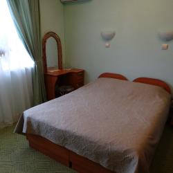 2-местный номер стандарт с 1 двуспальной кроватью