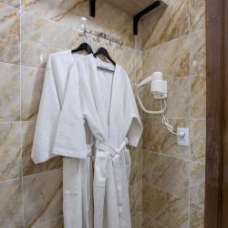 Фото Отель Maxx Inn (Макс Инн)