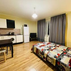 Фото Отель Apartments Laplandia (Апартментс Лапландия) на Привокзальной площади