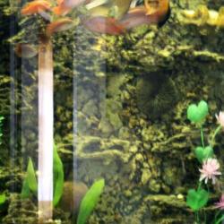 Фото Гостиница Грез