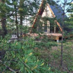 Фото Отель Зеленые