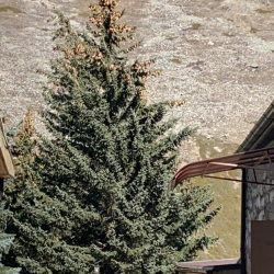 Фото Отель Старый Аламат