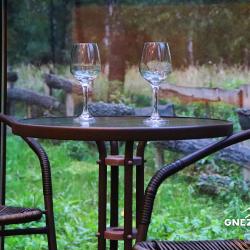 Фото Отель Гнездовье