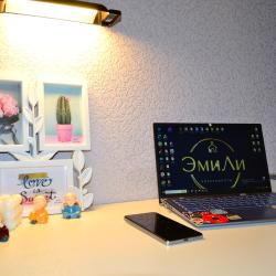 Фото Отель ЭмиЛи на улице Конструкторов 29А к1