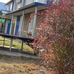 Фото Отель Дом приезжих Жемчужина