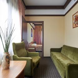 Фото Отель Пансионат Лад